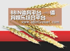 BBIN体育平台 - 体育娱乐综合平台