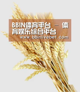 BBIN体育平台 - 体育娱乐综合平台