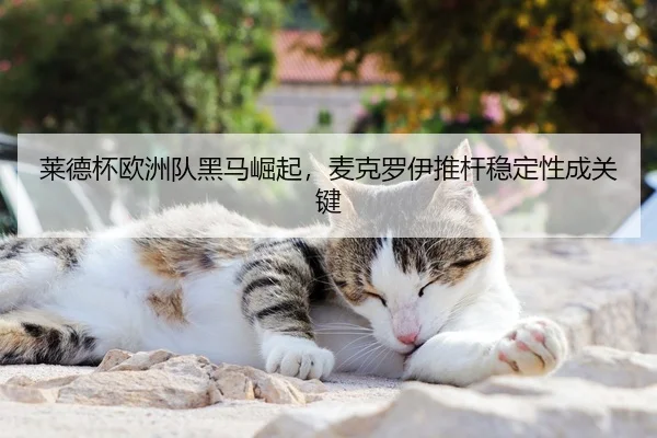 莱德杯欧洲队黑马崛起，麦克罗伊推杆稳定性成关键