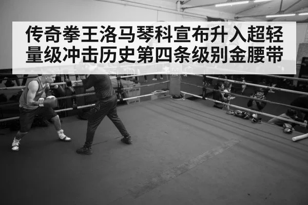 boxer training gym