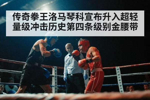 boxing ring lights